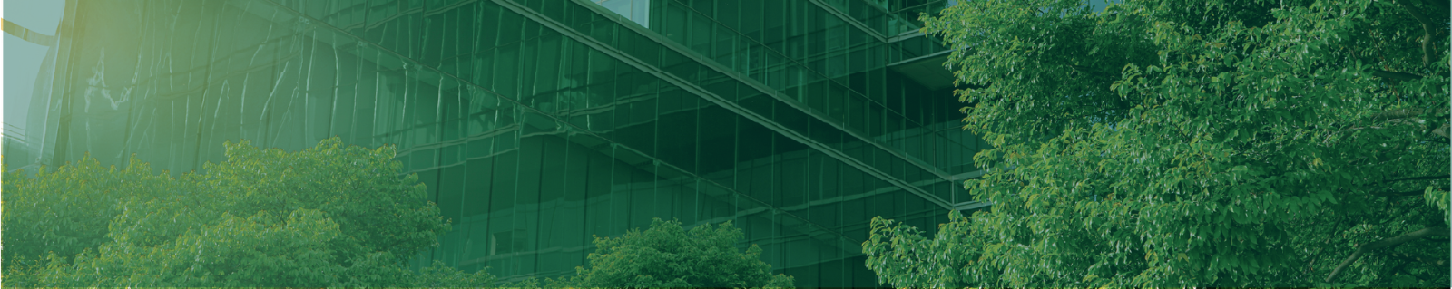 Building reflecting green trees