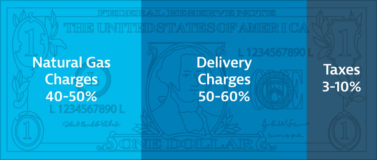 Bill cost infographic