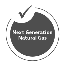 Next Generation Natural Gas